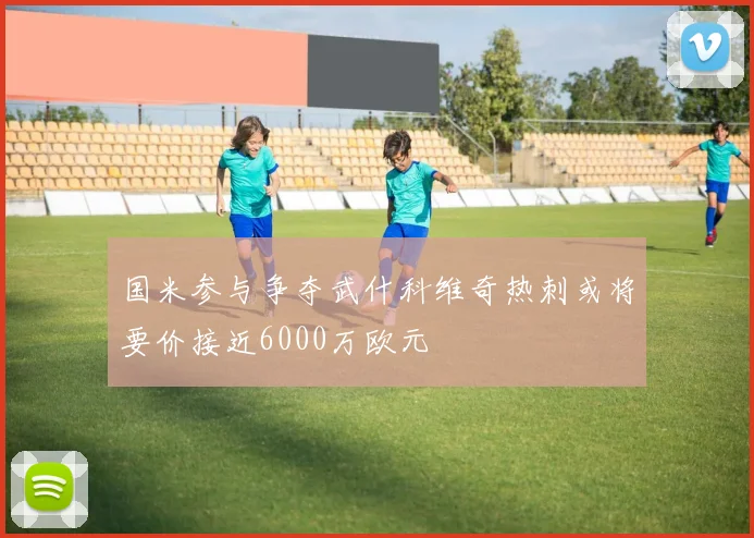国米参与争夺武什科维奇热刺或将要价接近6000万欧元